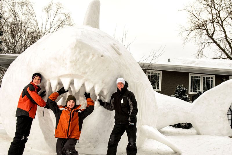 <p>ABD'de 16 metre yüksekliğinde kardan köpek balığı yapıldı. Dev köpek balığının yapımı tam 95 saat sürdü.</p>